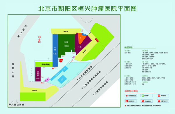 骚货受不了了用力北京市朝阳区桓兴肿瘤医院平面图